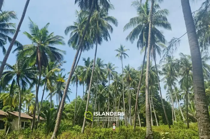 Beachfront Land for Sale in Lipa Noi, Koh Samui