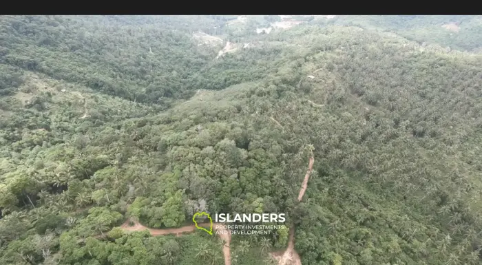 Land 9.5 Rai Private Mountain!
