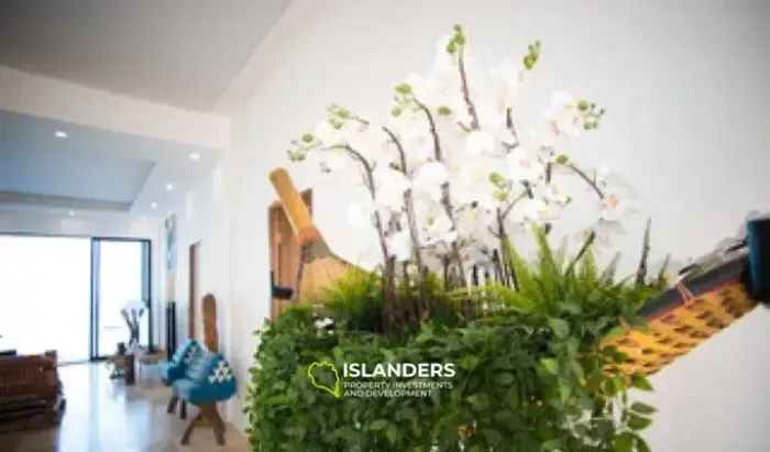 モンキー クイーン ヴィラ