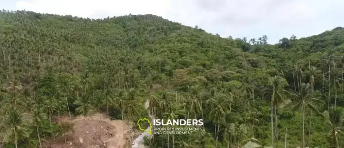 Terrain à vendre sur l'île de Samui