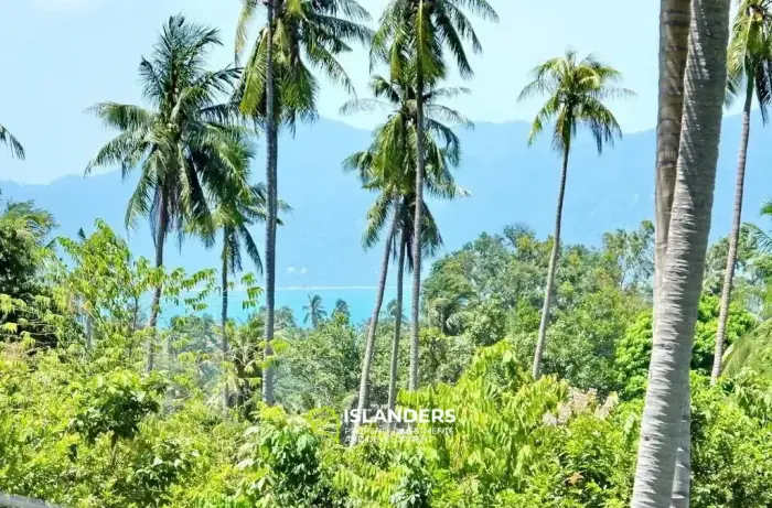 พูลวิลล่าหรูในบ่อผุด