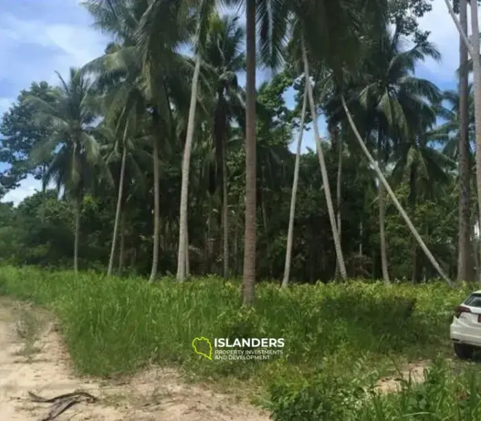 Lipa Noi Land zum Verkauf