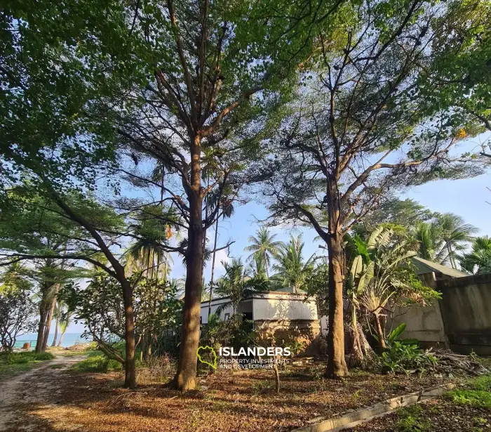 Stunning Beachfront View Land For Sale