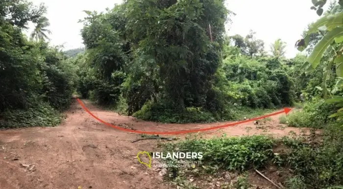 4-11.8-0 Rai-Land in Maret zu verkaufen