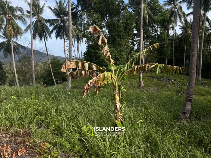 Perfect Sea View Plot in the Bantai Area.