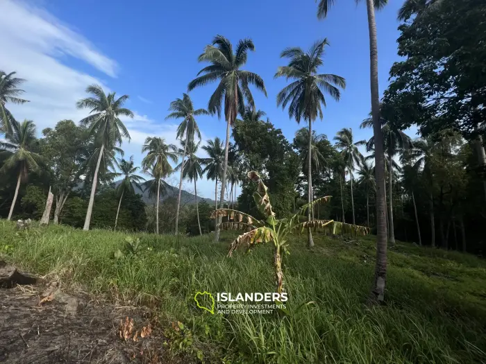 Perfect Sea View Plot in the Bantai Area.