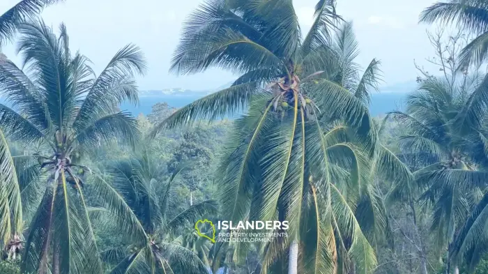 Perfect Sea View Plot in the Bantai Area.