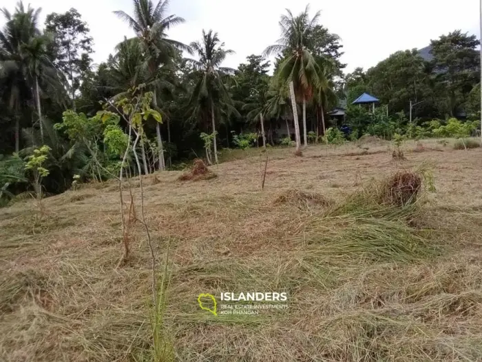 For Sale: Land in Maduawan, Panghan