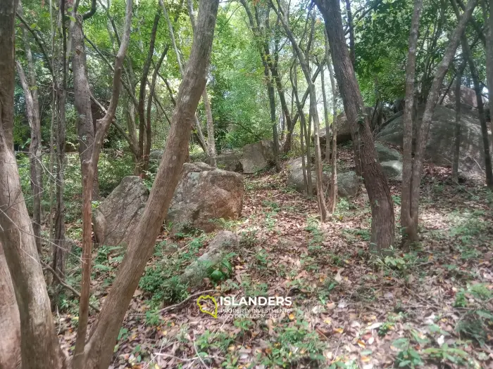 נוף לים - באן ג'אי די, קופנגן