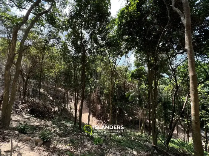 אדמה מדהימה ליד הר רטרו: 9.33 ראי עם נוף לים ומתחת למחיר השוק!