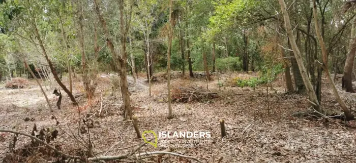 Flaches Land in Woktum 3,5 Millionen Rai