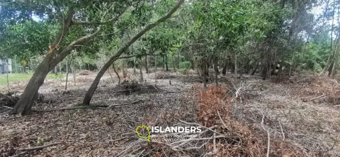 Flaches Land in Woktum 3,5 Millionen Rai