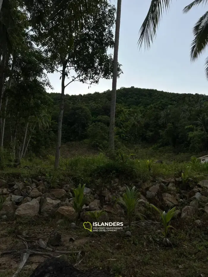 Paquete de propiedad completo en Chaloklum: 3,3 Rai con casa parcialmente vallada y vistas a la montaña