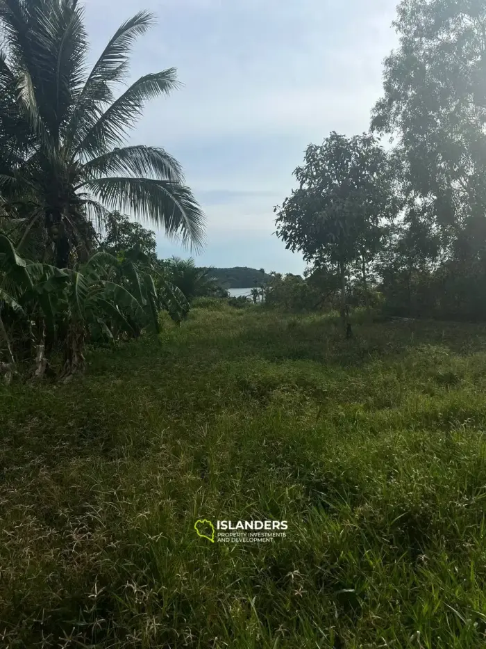 Hermoso terreno con vista al mar en el área de Tong Sala, cerca del centro con excelente logística