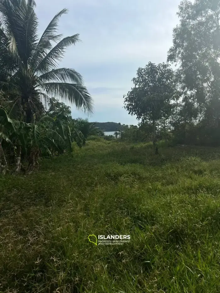 Hermoso terreno con vista al mar en el área de Tong Sala, cerca del centro con excelente logística