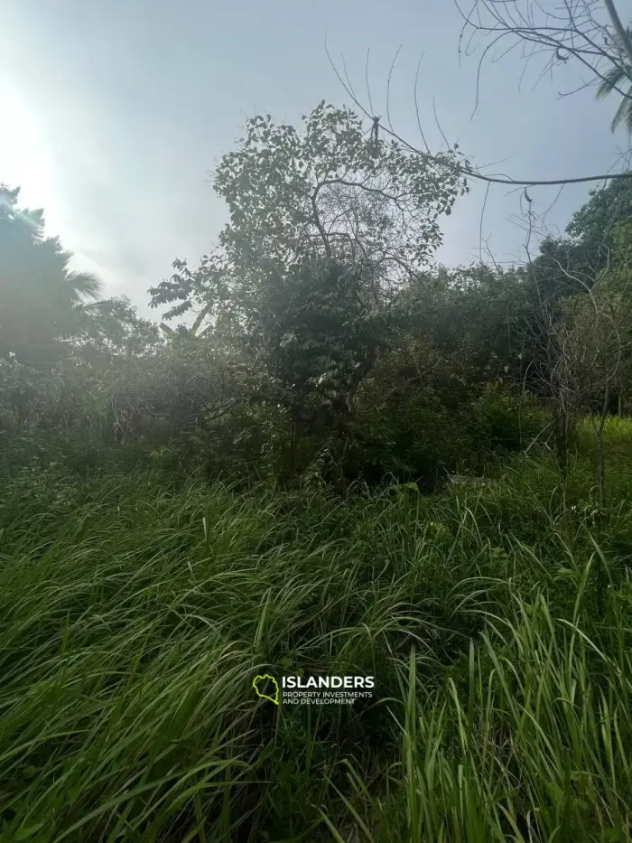 Hermoso terreno con vista al mar en el área de Tong Sala, cerca del centro con excelente logística