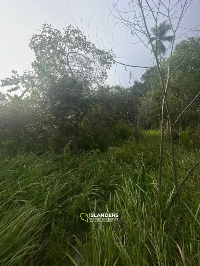 Hermoso terreno con vista al mar en el área de Tong Sala, cerca del centro con excelente logística