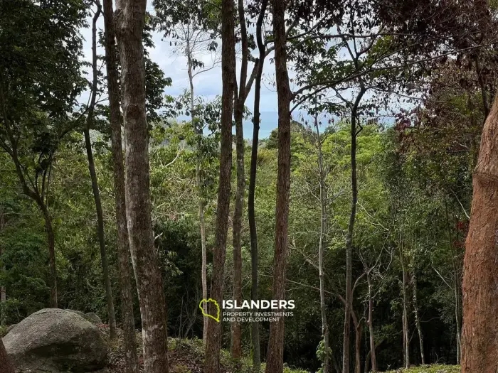 Atemberaubendes Grundstück in Chaloklum, Grundstück 6: Meer- und Bergblick, privater Zugang zum Fluss, angrenzend an den Nationalpark