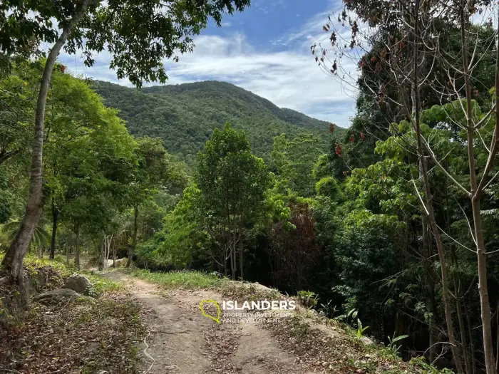 Einzigartiges Grundstück in Chaloklum, Grundstück 4: Panoramablick auf die Berge und privater Zugang zum Fluss