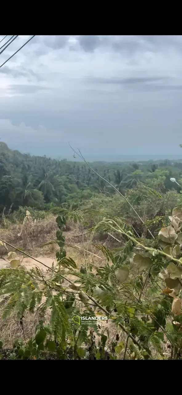 Land Parcel on Secret Mountain: Island Panorama at 4.5 million baht per Rai