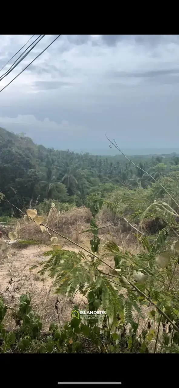 Land Parcel on Secret Mountain: Island Panorama at 4.5 million baht per Rai