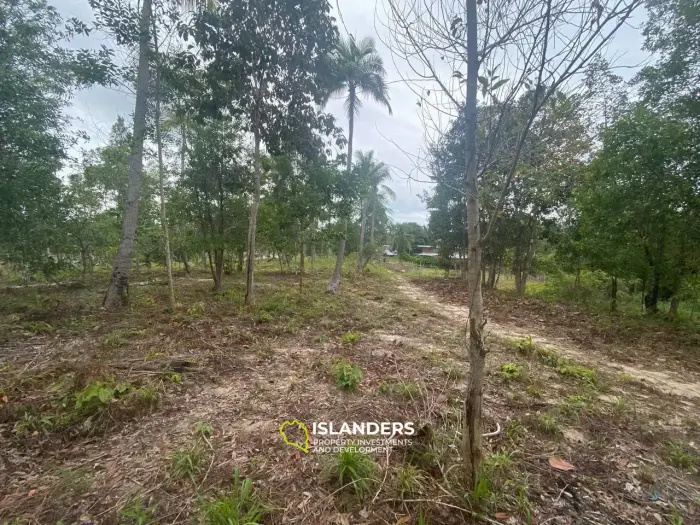 वोक टुम में 3,8 राय भूमि बिक्री के लिए उपलब्ध