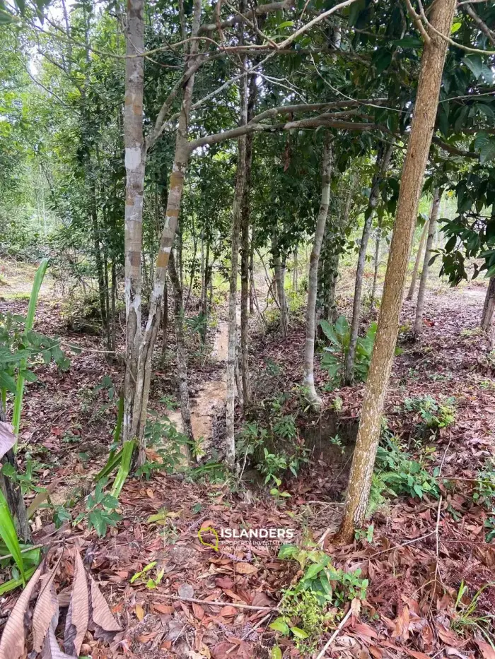 वोक टुम में 3,8 राय भूमि बिक्री के लिए उपलब्ध