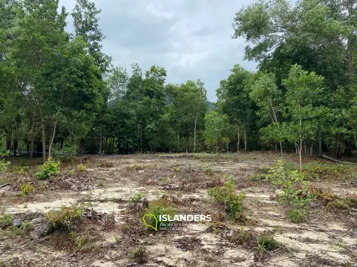 वोक टुम में 3,8 राय भूमि बिक्री के लिए उपलब्ध