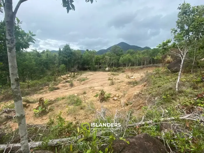 वोक टुम में 3,8 राय भूमि बिक्री के लिए उपलब्ध