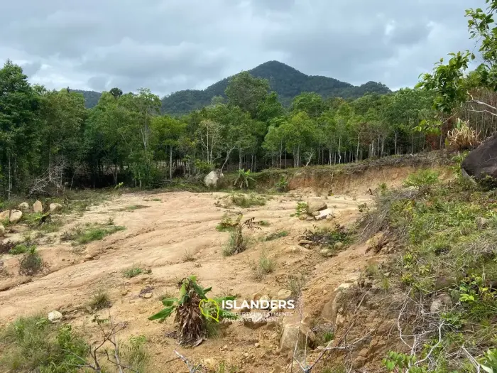 वोक टुम में 3,8 राय भूमि बिक्री के लिए उपलब्ध