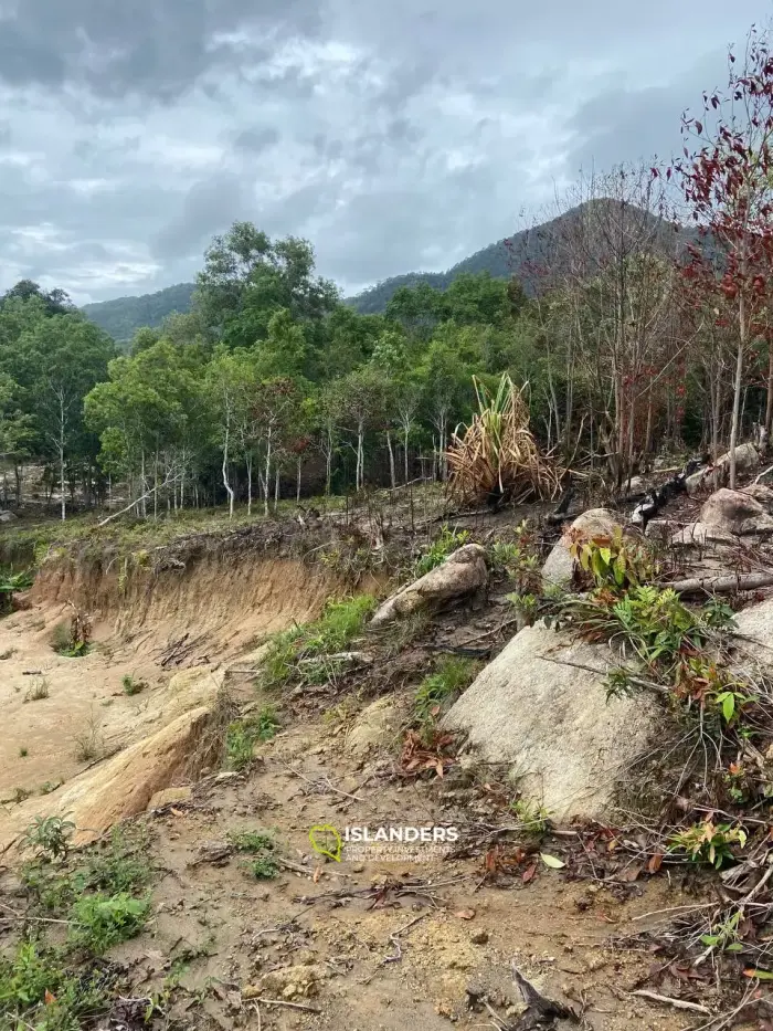 वोक टुम में 3,8 राय भूमि बिक्री के लिए उपलब्ध