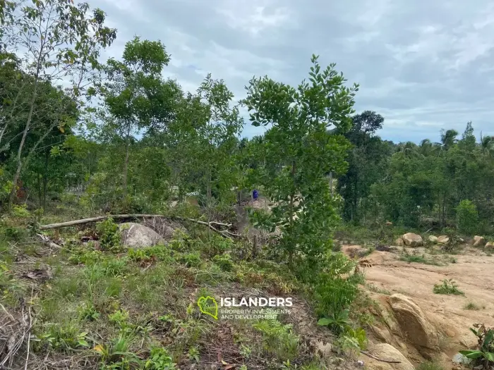 वोक टुम में 3,8 राय भूमि बिक्री के लिए उपलब्ध