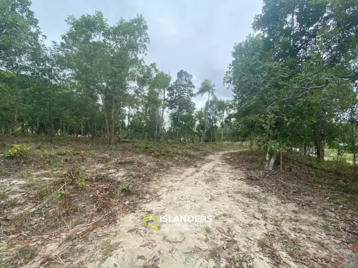 वोक टुम में 3,8 राय भूमि बिक्री के लिए उपलब्ध