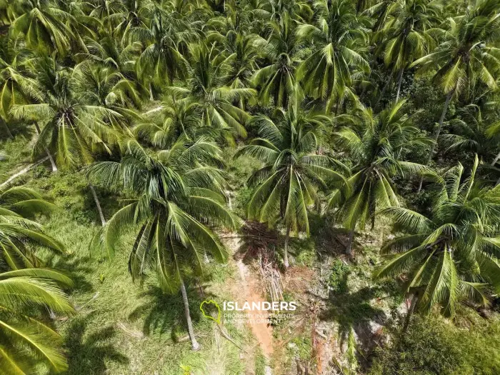 Small piece of Land in good location! (Plot 1/…)