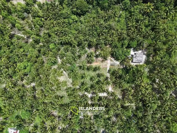 Small piece of Land in good location! (Plot 1/…)