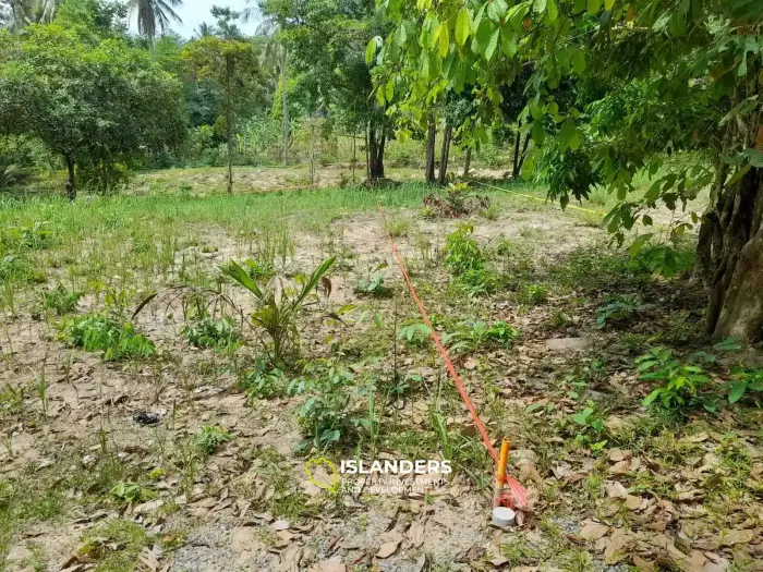Chaloklum's Little Nook: Land Plot Near the Village and Beach.