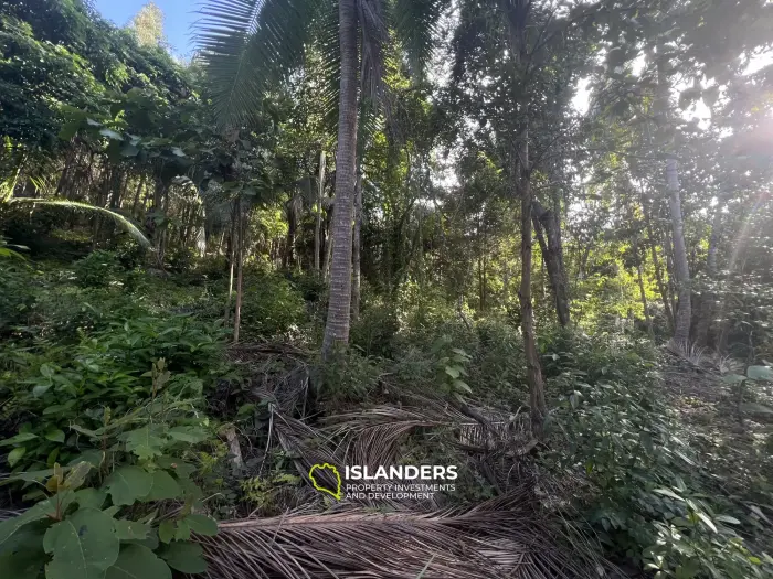 Prime Land in Haad Salad: Panoramic Sea Views Near Bay Villas