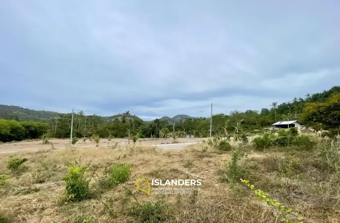 400 SQM. Mountain View Flat Land in Mae Nam for Sale 