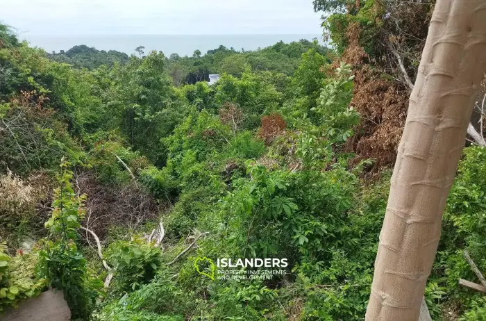 ขายที่ดินที่ Emerald Bay View