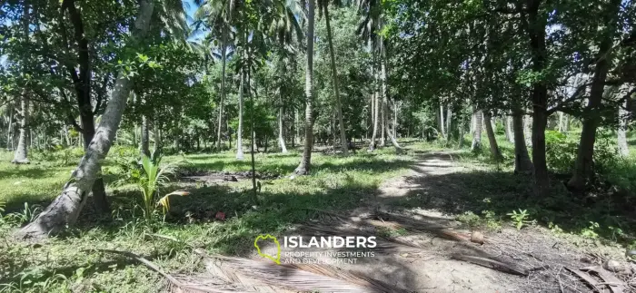 Scenic Land Plot with Mountain and Coconut Palm Views