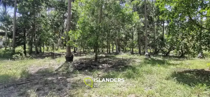Scenic Land Plot with Mountain and Coconut Palm Views