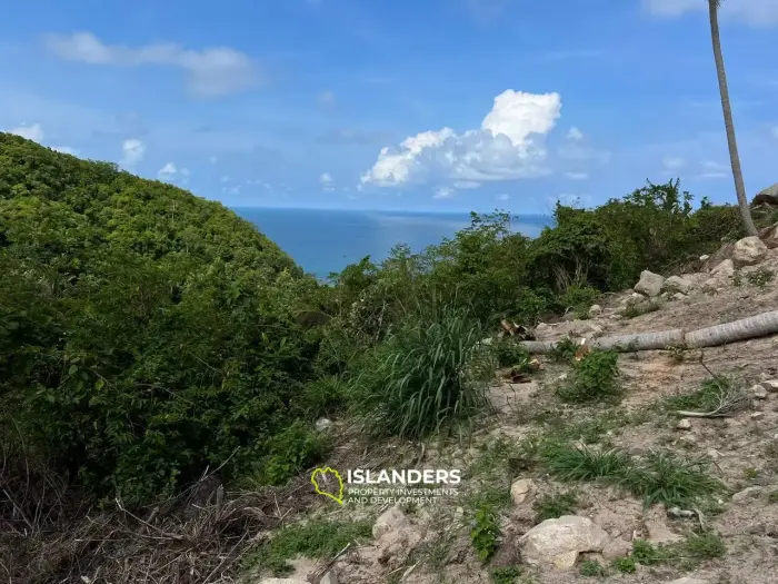 Grundstück mit Dschungelblick und Meerblick auf Haad Yao (seltene Gelegenheit)