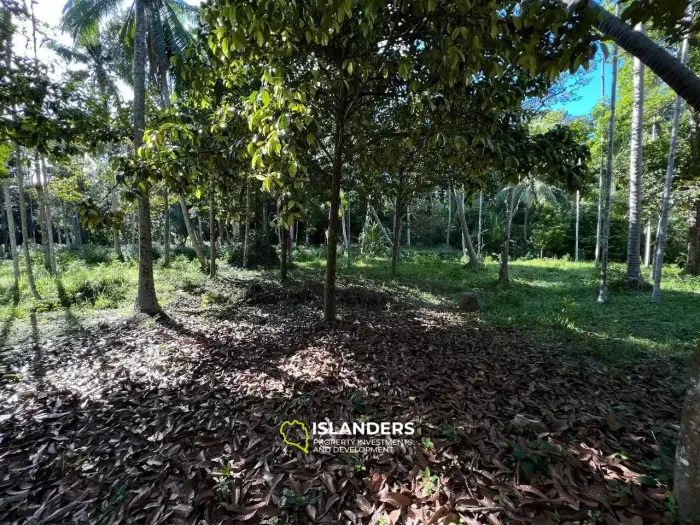 Land in Maduwan - Oasis of Tranquility and Beauty