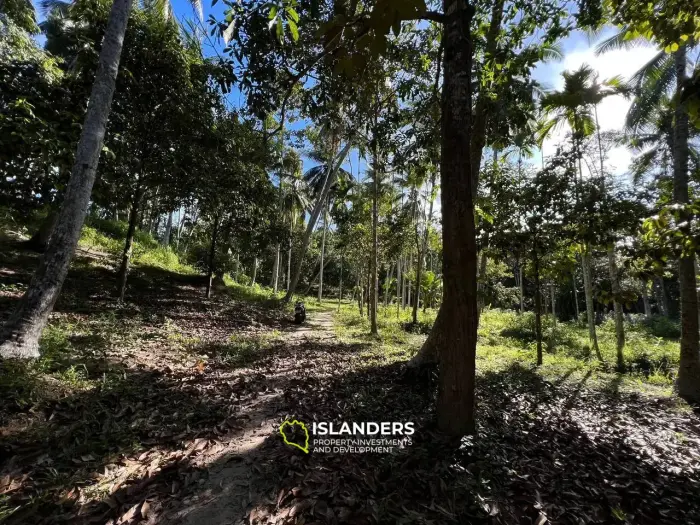 Land in Maduwan - Oasis of Tranquility and Beauty