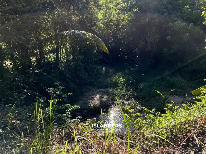 Land in Maduwan - Oasis of Tranquility and Beauty