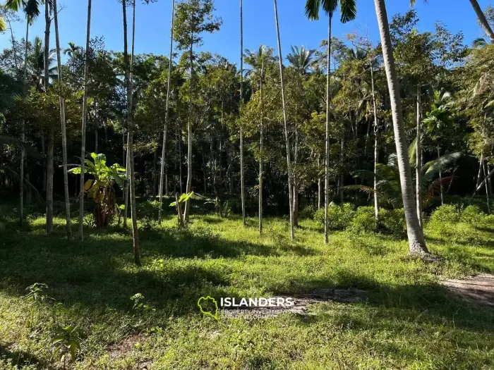 Land in Maduwan - Oasis of Tranquility and Beauty