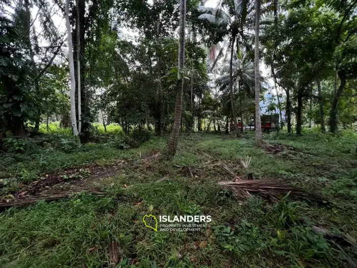 Tranquil and Level Land in Bantai