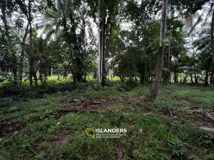 Tranquil and Level Land in Bantai