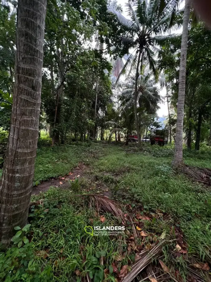 Tranquil and Level Land in Bantai