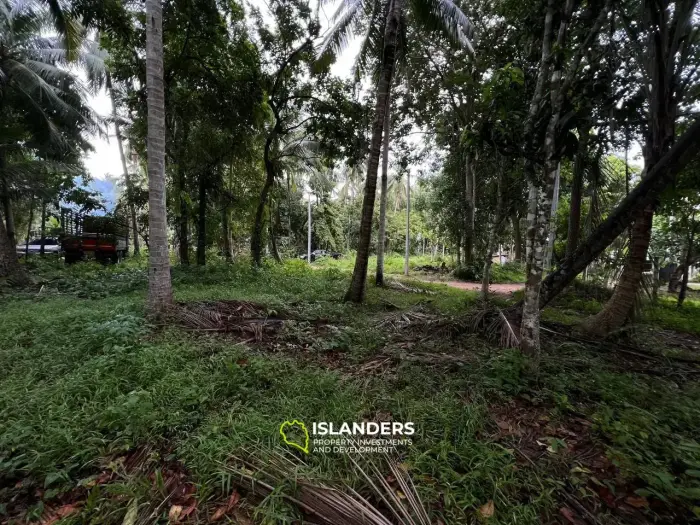 Tranquil and Level Land in Bantai